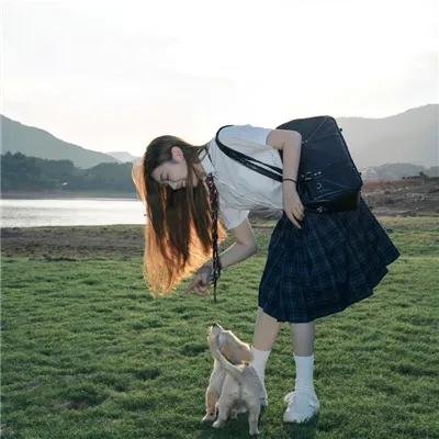 求职记 海报
